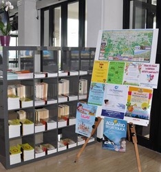 Imagen general del Hotel Adelphi, Riccione. Foto 4