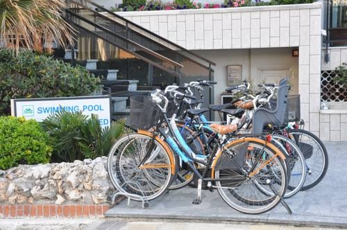Imagen general del Hotel Adelphi, Riccione. Foto 12