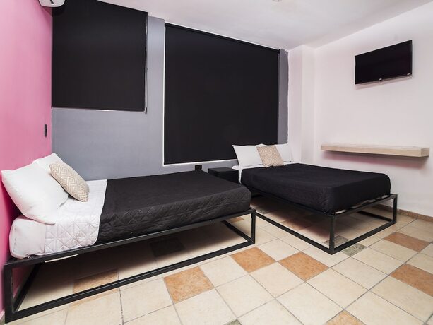 Imagen de la habitación del Hotel Adhoc Cintermex. Foto 18