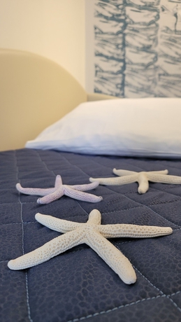 Imagen de la habitación del Hotel Adigrat. Foto 5