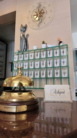 Imagen de los interiores del Hotel Adigrat. Foto 14