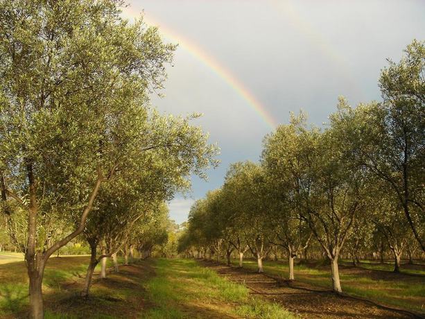 Imagen de los interiores del Hotel Adina Vineyard. Foto 12