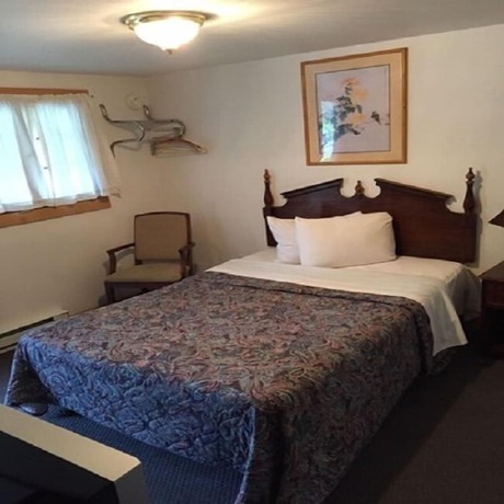 Imagen de la habitación del Hotel Adirondack Oasis Motel. Foto 5