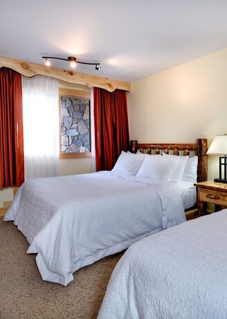 Imagen general del Hotel Adirondack Spruce Lodge. Foto 8