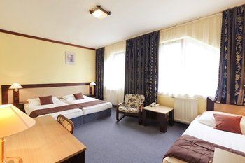 Imagen de la habitación del Hotel Adler, Ceske Budejovice. Foto 6
