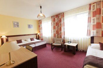 Imagen de la habitación del Hotel Adler, Ceske Budejovice. Foto 14