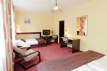 Imagen de la habitación del Hotel Adler, Ceske Budejovice. Foto 16