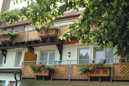 Imagen de la habitación del Hotel Adler Fohrenbühl. Foto 3