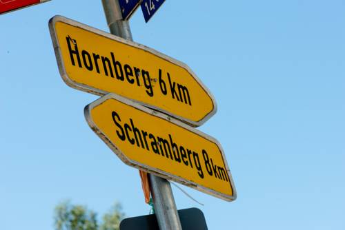 Imagen de la habitación del Hotel Adler Fohrenbühl. Foto 6