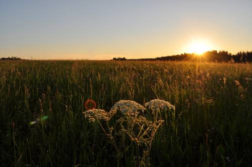 Imagen de la habitación del Hotel Adler Fohrenbühl. Foto 13