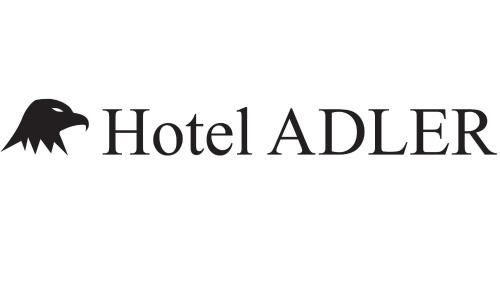 Imagen general del Hotel Adler, Neckarsulm. Foto 1