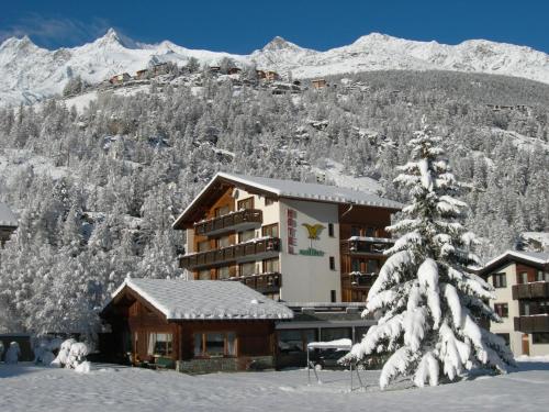 Imagen general del Hotel Adler, SAAS-GRUND. Foto 5
