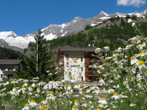 Imagen general del Hotel Adler, SAAS-GRUND. Foto 6