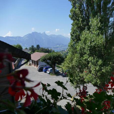 Imagen general del Hotel Adler, Sigriswil. Foto 2