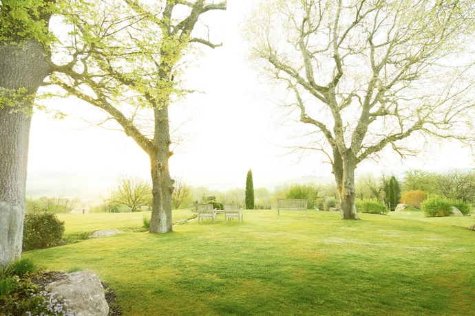 Imagen de los exteriores del Hotel Adler Spa Resort Thermae. Foto 6