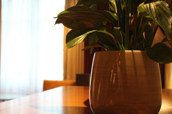 Imagen de la habitación del Hotel Adlon Kempinski Berlin. Foto 2