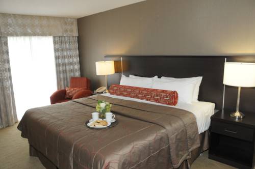 Imagen de la habitación del Hotel Admiral Inn Burlington. Foto 12