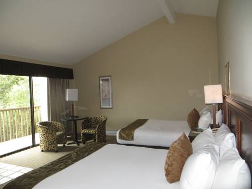 Imagen de la habitación del Hotel Adobe Inn, Carmel-by-the-Sea. Foto 4
