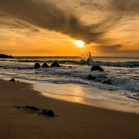 Imagen de los exteriores del Hotel Adobe Inn, Carmel-by-the-Sea. Foto 13