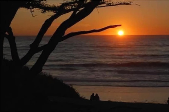 Imagen de los exteriores del Hotel Adobe Inn, Carmel-by-the-Sea. Foto 14