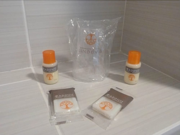 Imagen de la habitación del Hotel Adonis La Baule. Foto 9