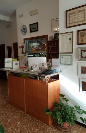 Imagen general del Hotel Adriana, CELLE LIGURE. Foto 10