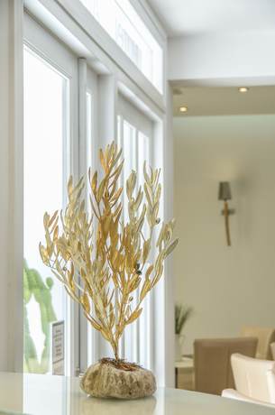 Imagen de los interiores del Hotel Adriani. Foto 34