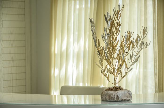 Imagen de los interiores del Hotel Adriani. Foto 37