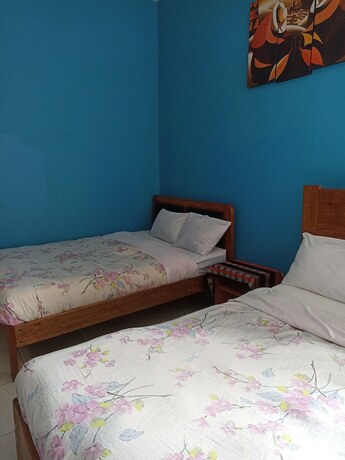 Imagen general del Hotel Adrianos Hostel. Foto 5