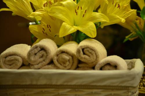 Imagen de la habitación del Hotel Adriatica, Ginebra. Foto 12