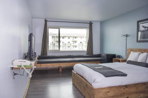 Imagen de la habitación del Hotel Adrift. Foto 16