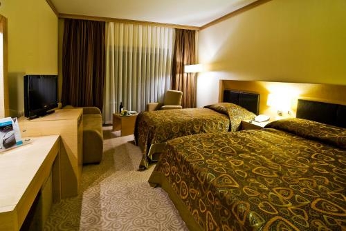 Imagen de la habitación del Hotel Adrina Termal Health and Spa. Foto 9