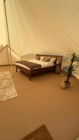 Imagen de la habitación del Hotel Adventurer Camp. Foto 9
