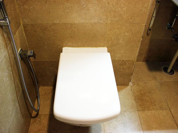 Imagen de la habitación del Hotel Adyar Ananda Bhavan. Foto 5