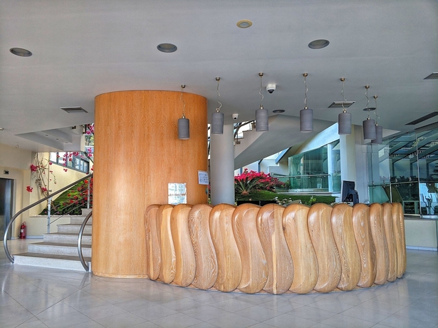Imagen de los interiores del Hotel Aegean Blue Beach. Foto 15