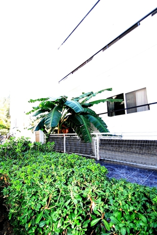 Imagen de los exteriores del Hotel Aegeon - Adults Only. Foto 10