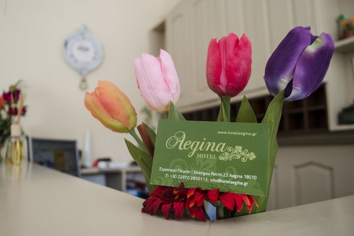 Imagen de los interiores del Hotel Aegina. Foto 12