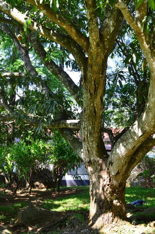 Imagen de los exteriores del Hotel Aeropuerto, Alajuela ciudad. Foto 11