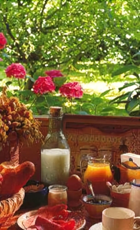 Imagen del bar/restaurante del Hotel Aerotel Etape Du Silence. Foto 4