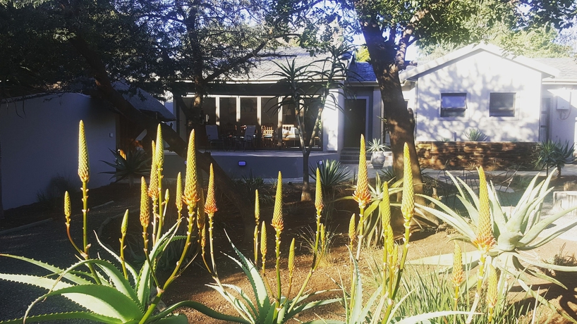 Imagen de los exteriores del Hotel Aerotropolis Guest Lodge. Foto 13