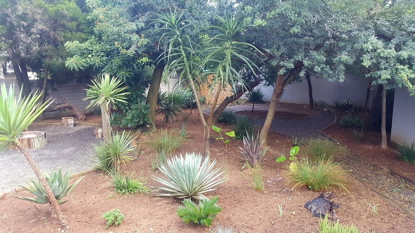 Imagen de los exteriores del Hotel Aerotropolis Guest Lodge. Foto 14