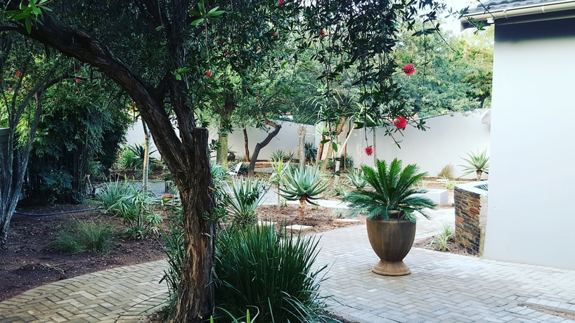 Imagen de los exteriores del Hotel Aerotropolis Guest Lodge. Foto 15