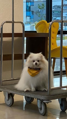 Imagen general del Hotel Afford Hoteis. Foto 3