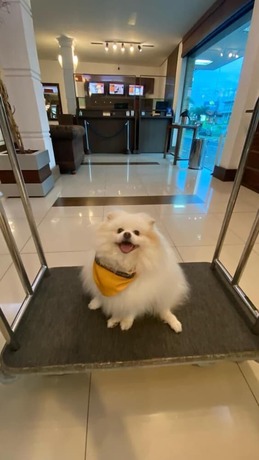 Imagen general del Hotel Afford Hoteis. Foto 8