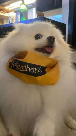 Imagen general del Hotel Afford Hoteis. Foto 9