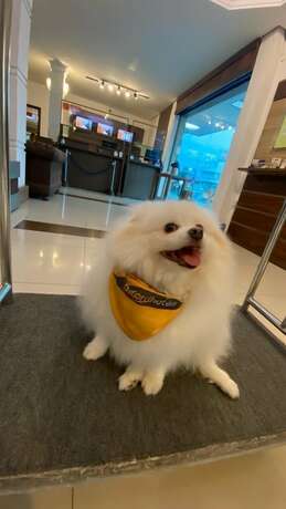 Imagen general del Hotel Afford Hoteis. Foto 12