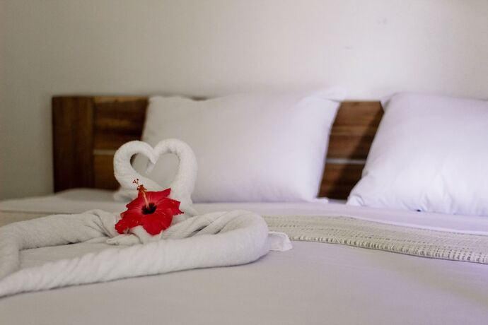 Imagen general del Hotel Afreeka Beach Hostel and Music Bar. Foto 3