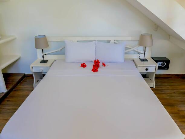 Imagen general del Hotel Afreeka Beach Hostel and Music Bar. Foto 6