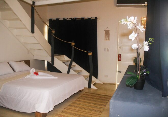 Imagen general del Hotel Afreeka Beach Hostel and Music Bar. Foto 16