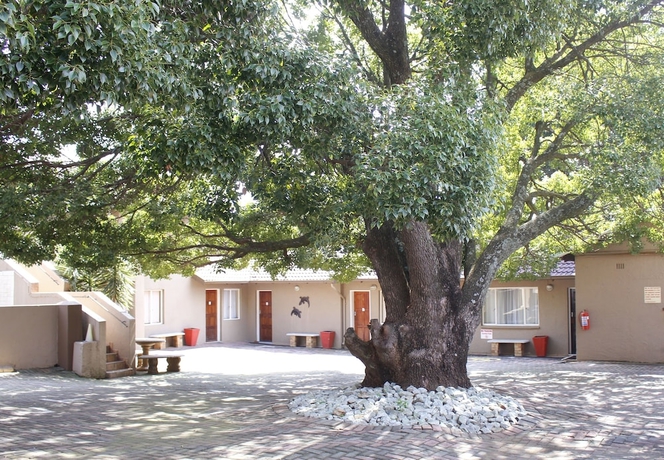 Imagen general del Hotel African Sky Bed and Breakfast. Foto 1